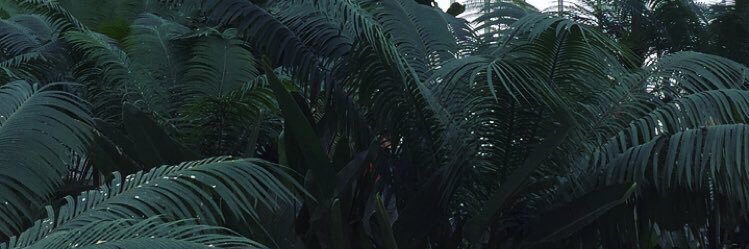 aexvi's profile banner image