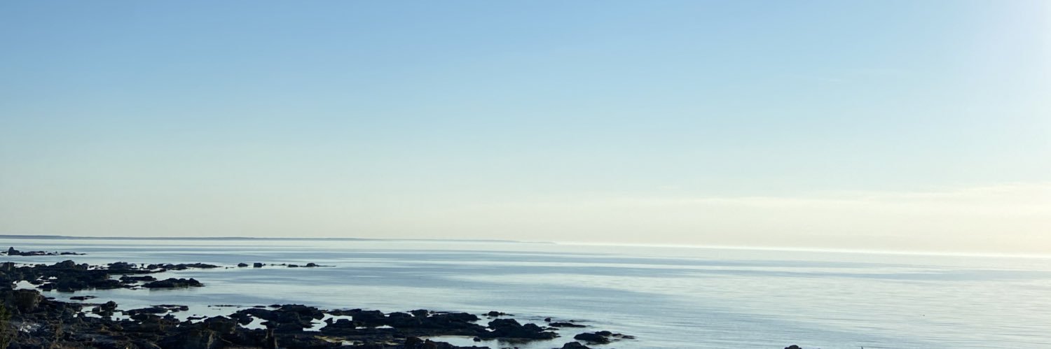 Baaagera's profile banner image