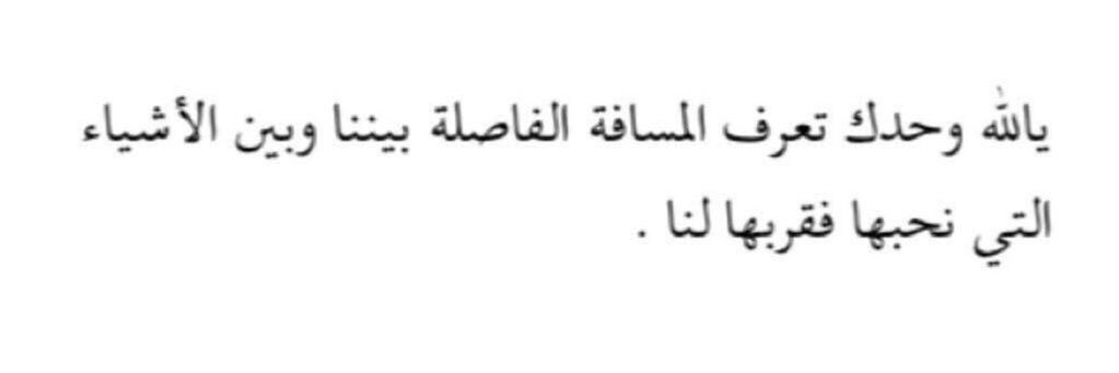 LoLo_AlKhalaf's profile banner image