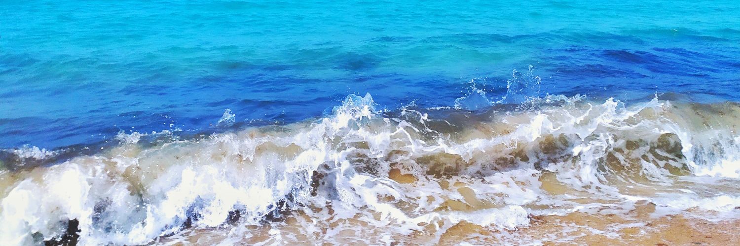 anitamj93's profile banner image