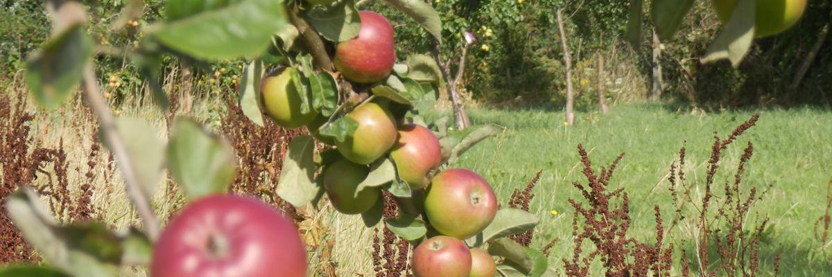 Churchdown Parish banner