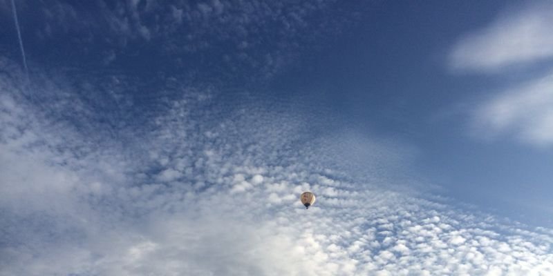 AliciaRSP's profile banner image