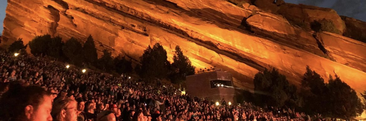 Jenny Davidson banner