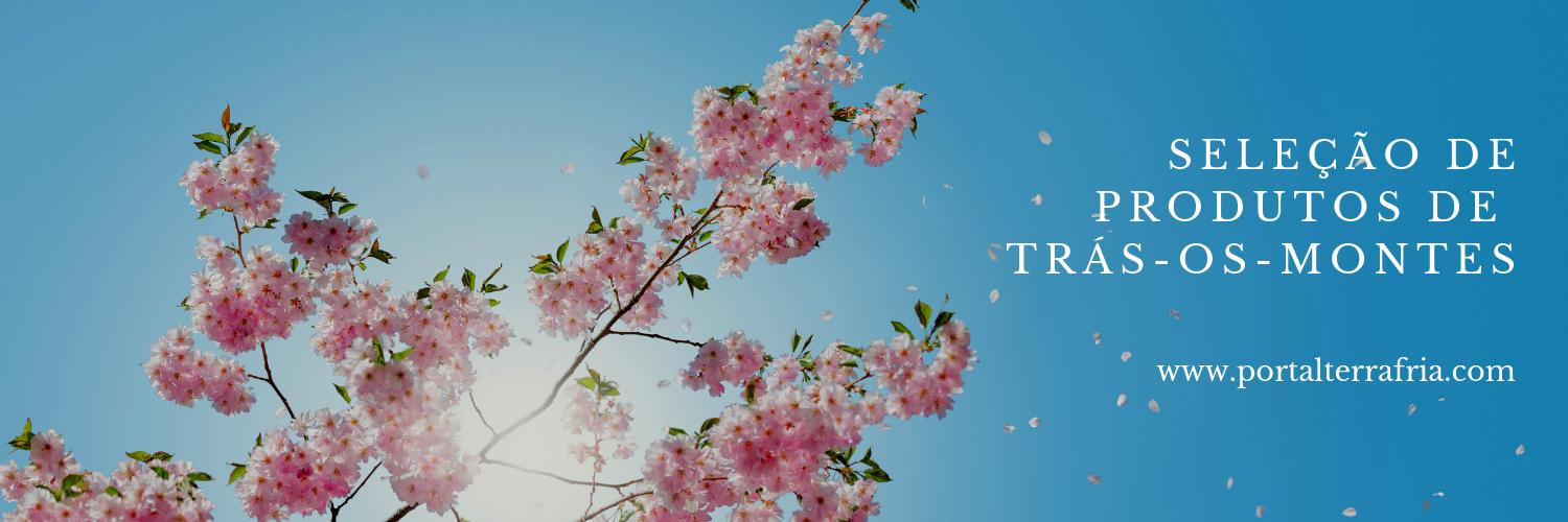 TerraFria's profile banner image