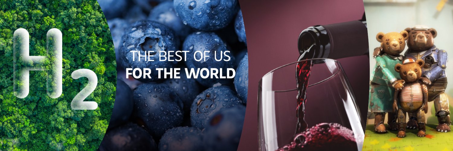 ProChile Netherlands banner