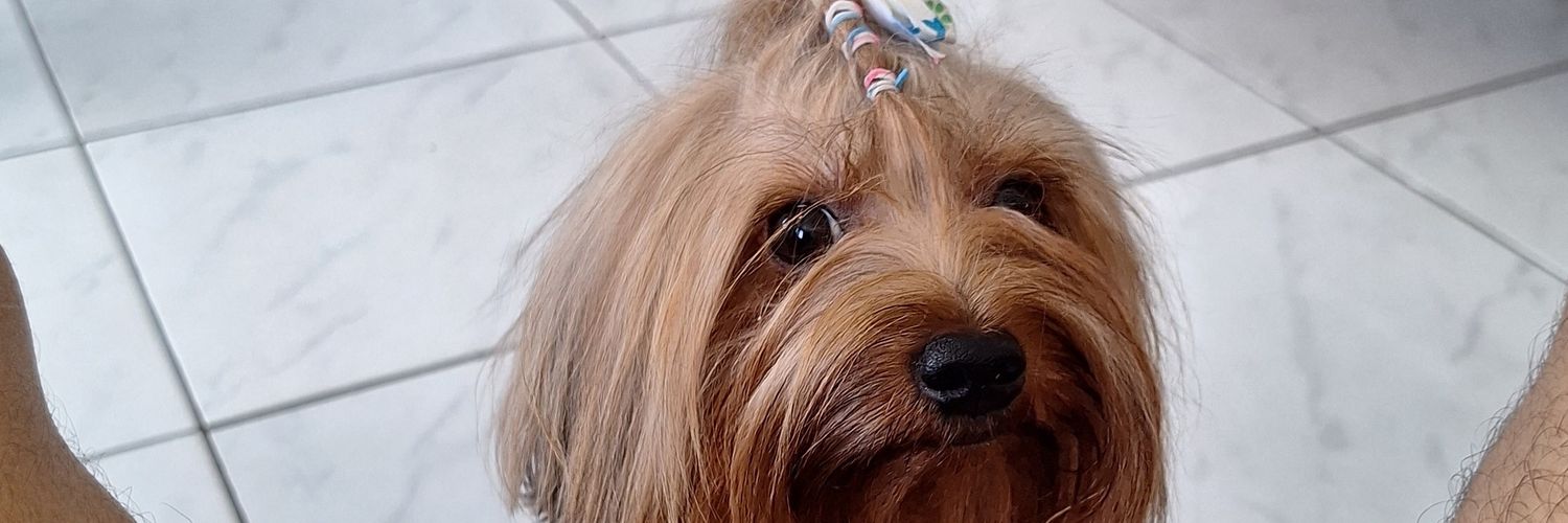 goxtavoh's profile banner image