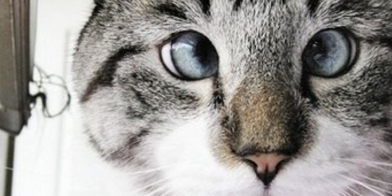 MrHart_'s profile banner image