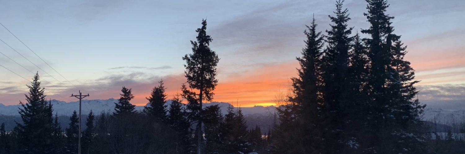 avralmonds's profile banner image