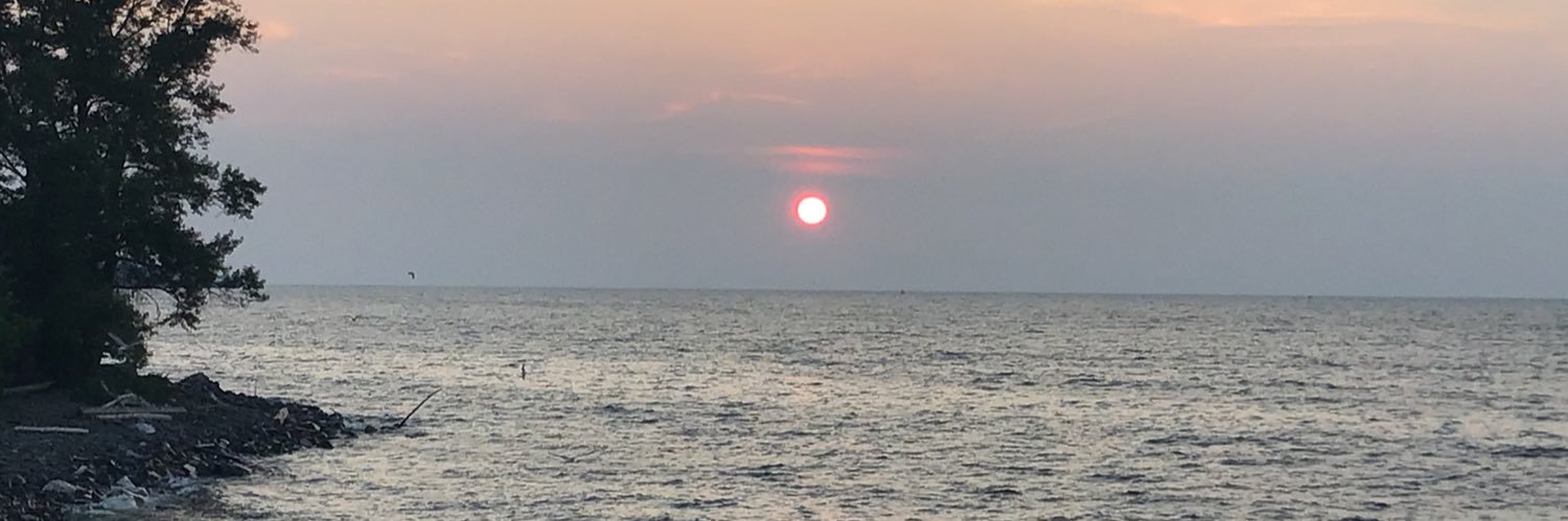 Da_Real_Nick_V's profile banner image