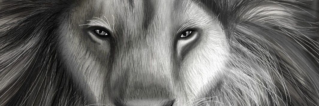 igwejubril's profile banner image