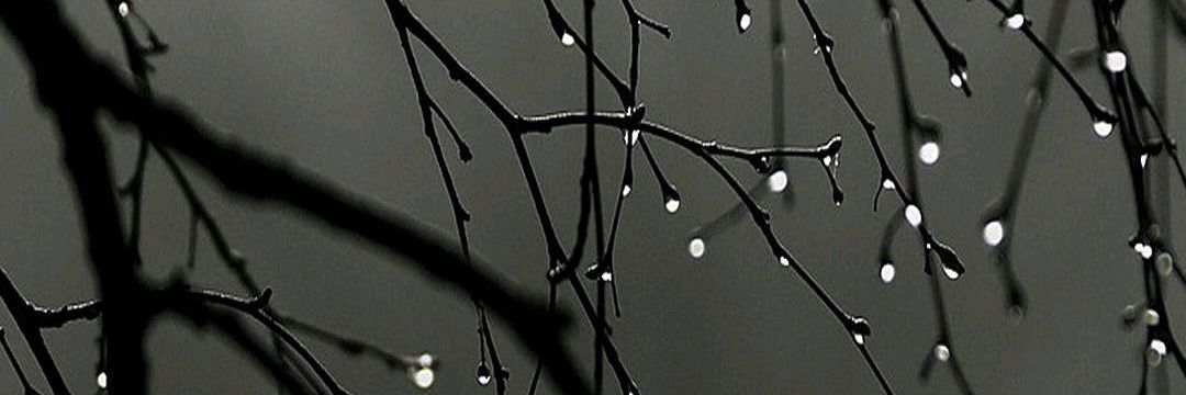 prwandhare's profile banner image