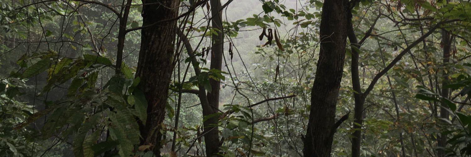 bosrac's profile banner image