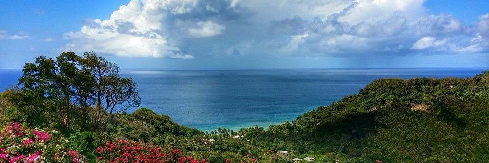 Karlene McGibbon banner