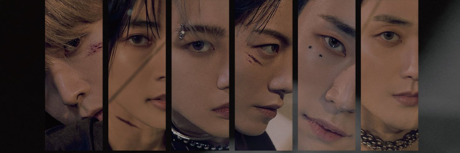 VAV Brasil Fanbase banner