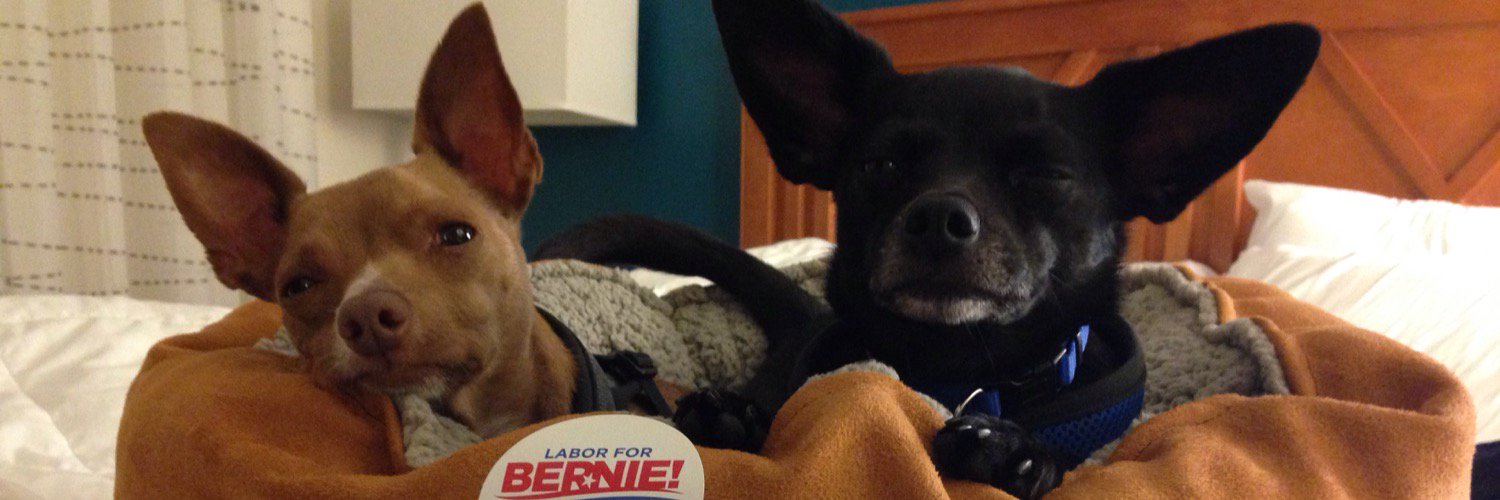 Pups4Bernie's profile banner image