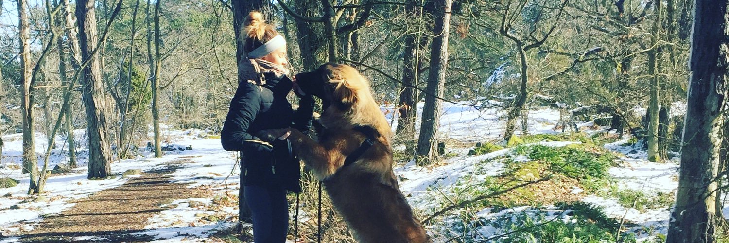 johannahadarson's profile banner image