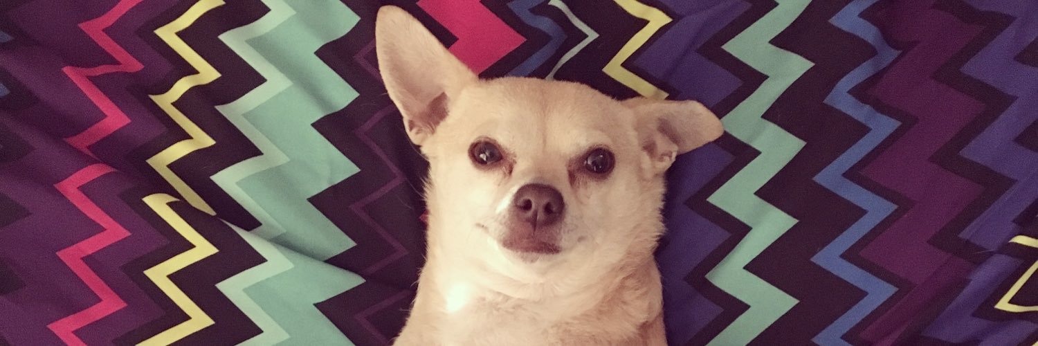 liseemargs's profile banner image