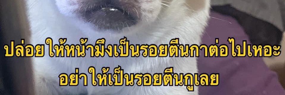 twoAtwoM's profile banner image