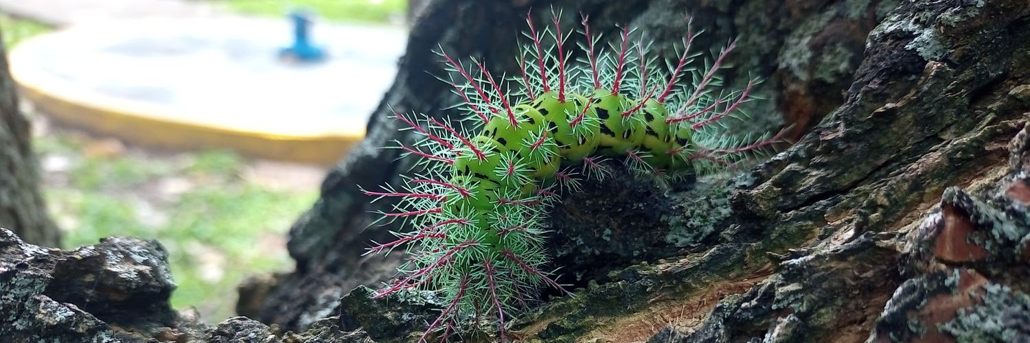 JERSON 👍😎 banner