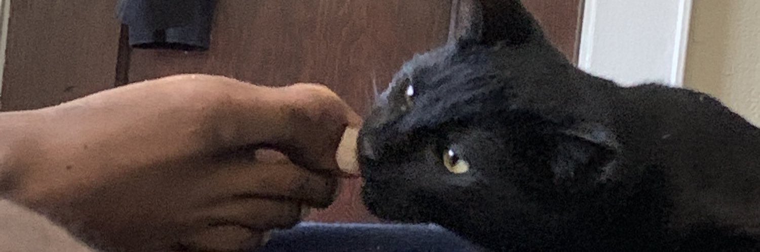 DariusXIX's profile banner image