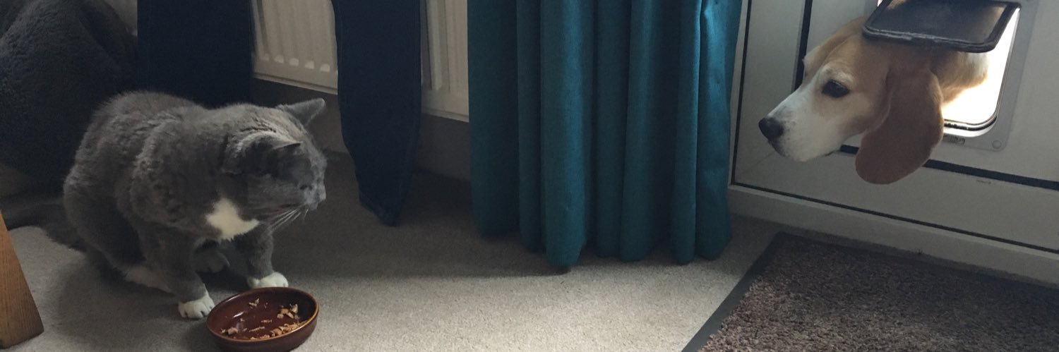 BeagleJeremy's profile banner image