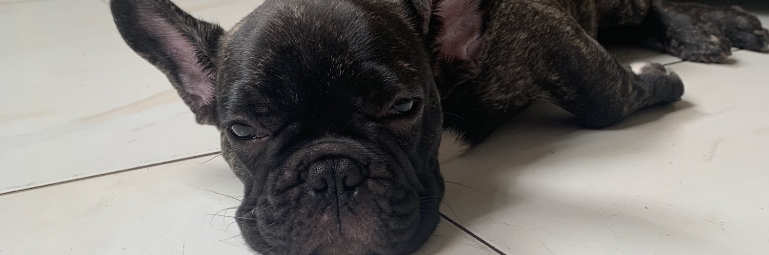jvdevv's profile banner image