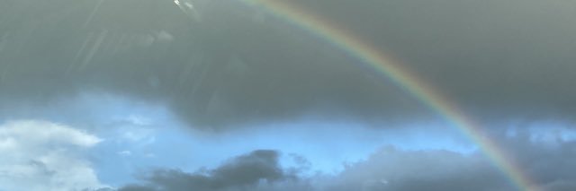 ce_fi's profile banner image