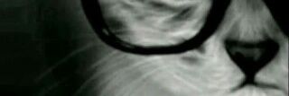 e_1122_'s profile banner image