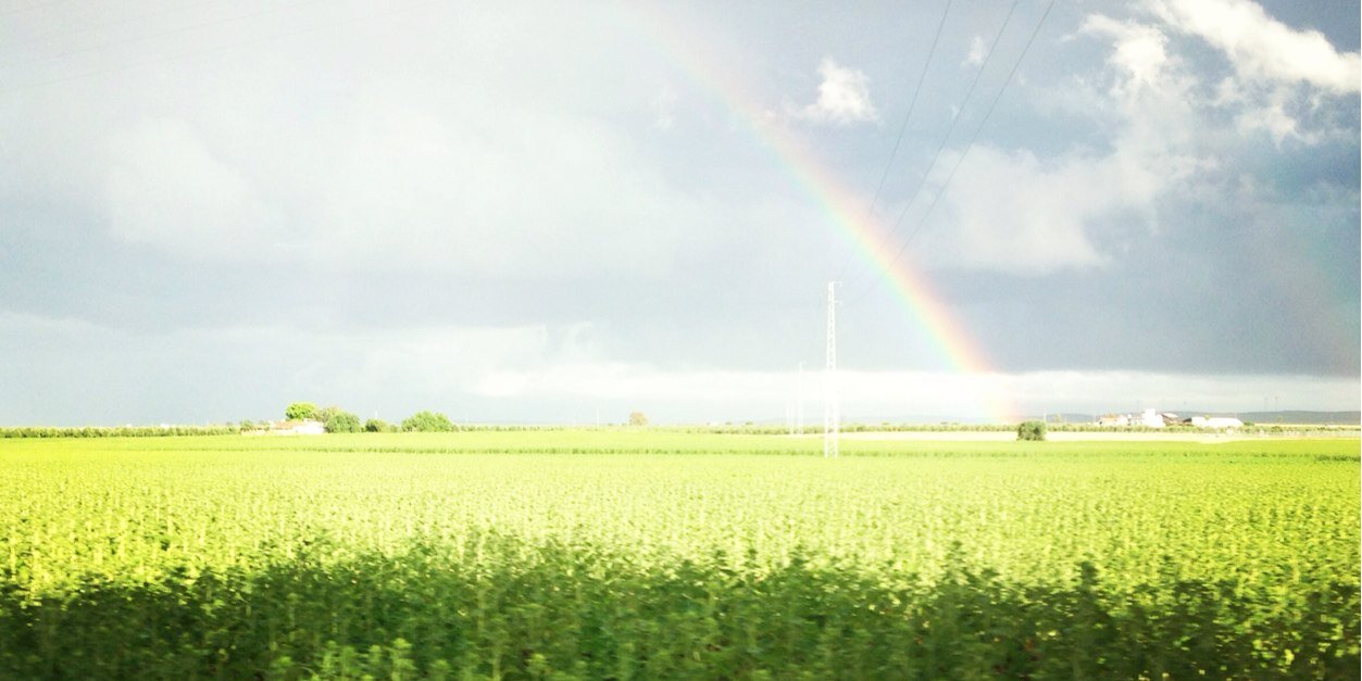 Noee95_'s profile banner image