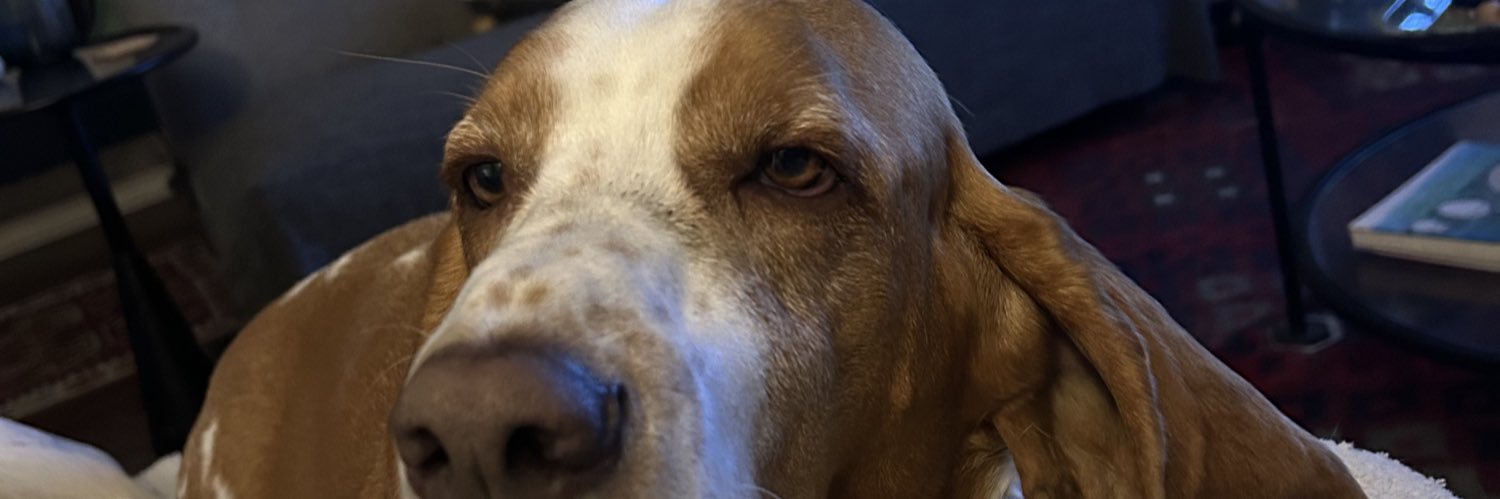 yarlyle's profile banner image