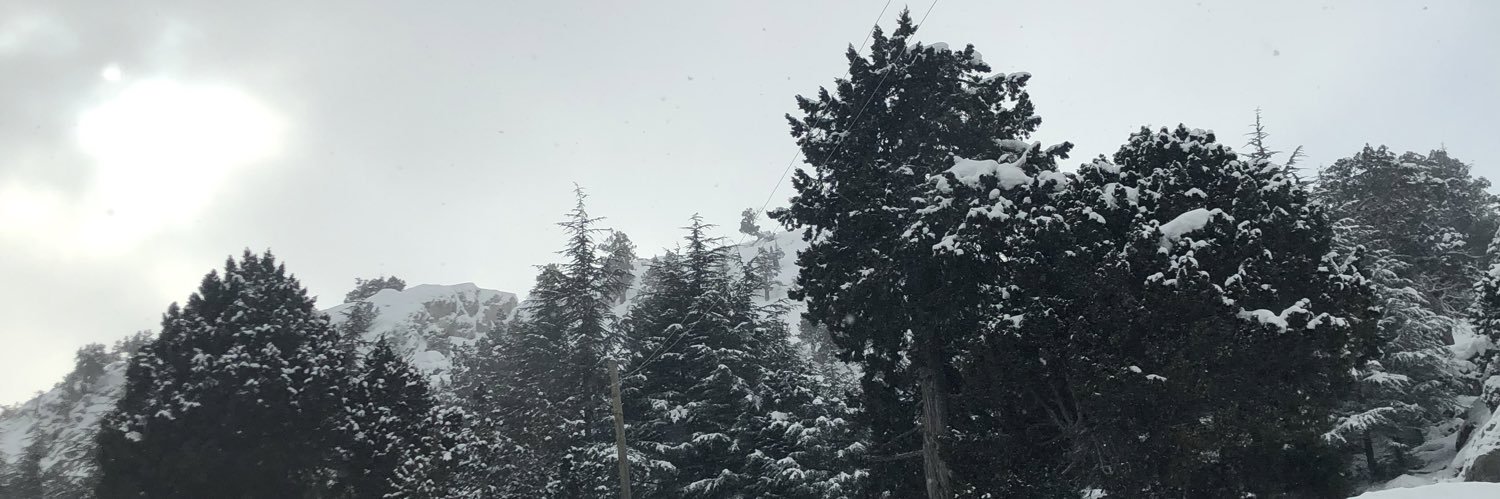 AnlDznli's profile banner image