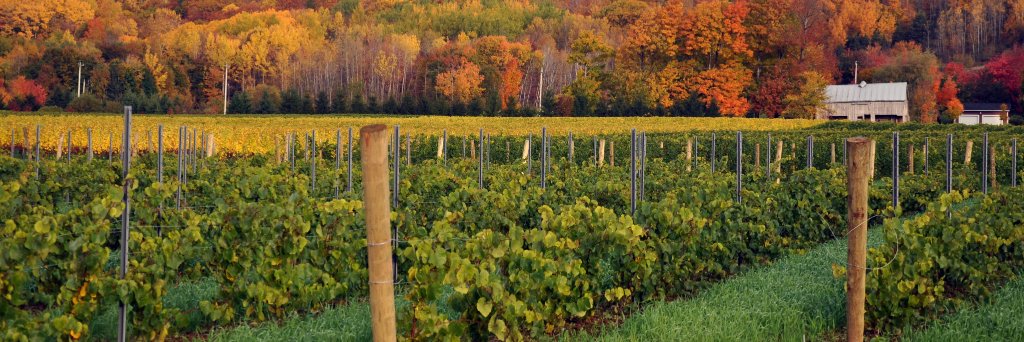 Municipality of the County of Kings banner