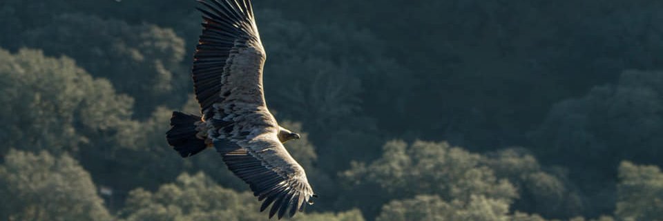 felipefdez57's profile banner image