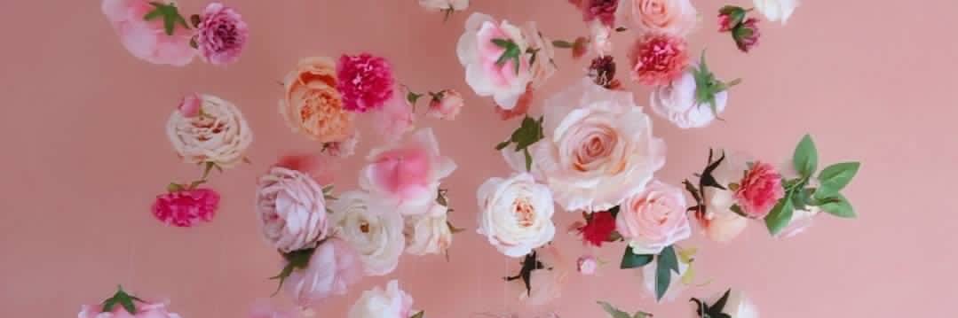 0419pinkpanda's profile banner image