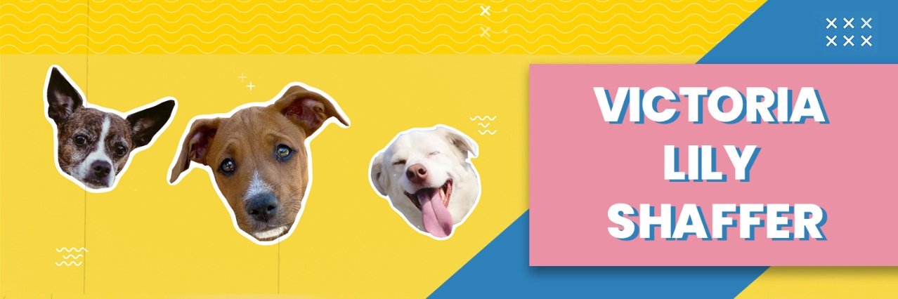 victorialily's profile banner image