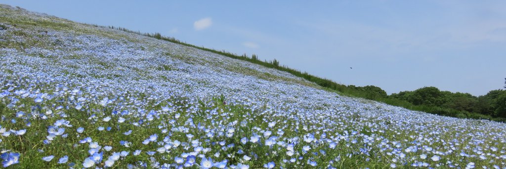 kabereimu's profile banner image