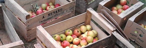 The Orchard Project banner