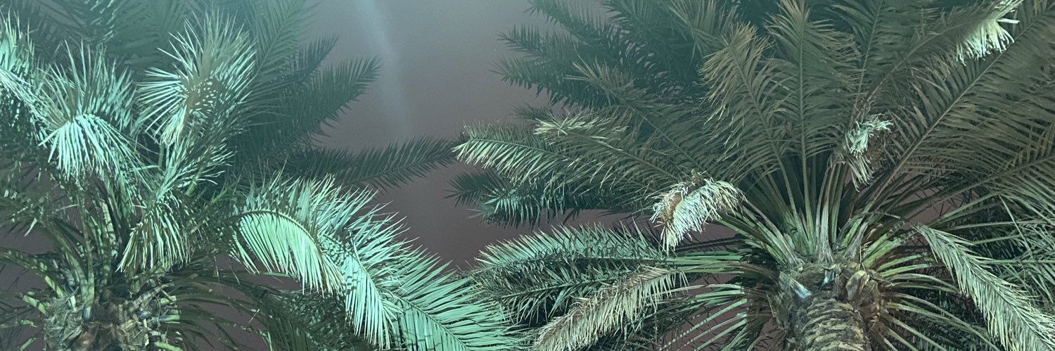 Dalmogbil's profile banner image