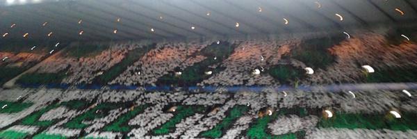 ColmShalvey Profile Banner