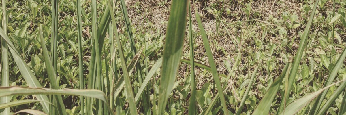 Uknowty_'s profile banner image