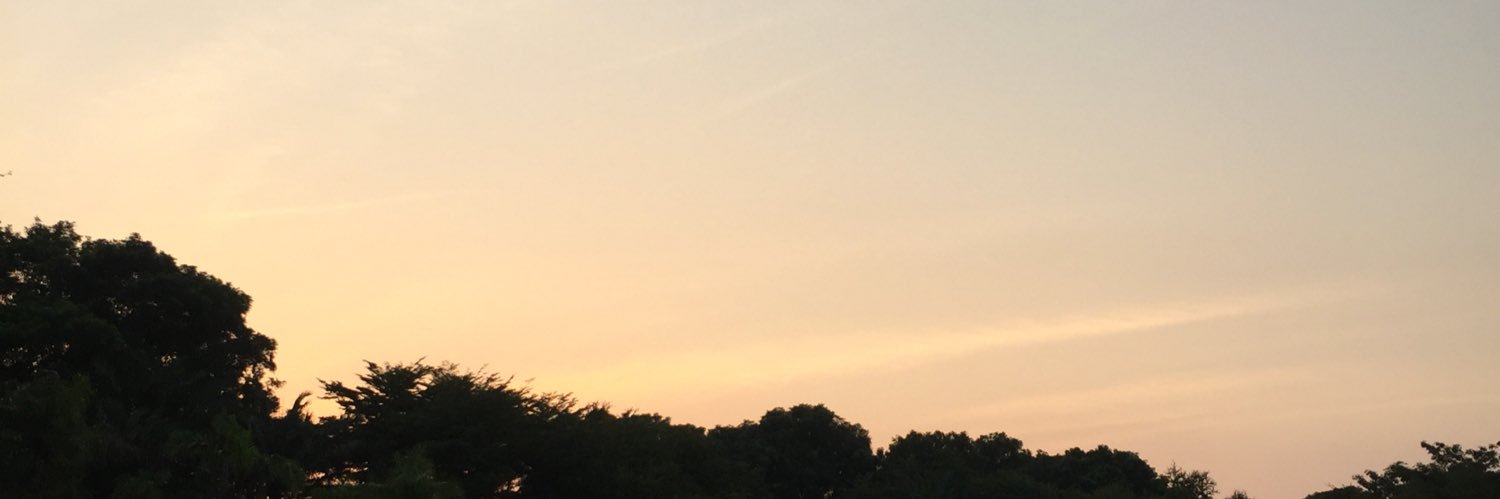 lyaamran_'s profile banner image
