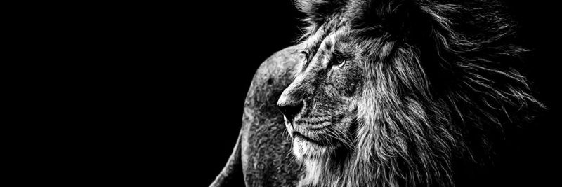 BarisBasbagci's profile banner image
