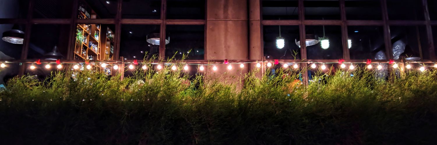 Pushkarpimple's profile banner image