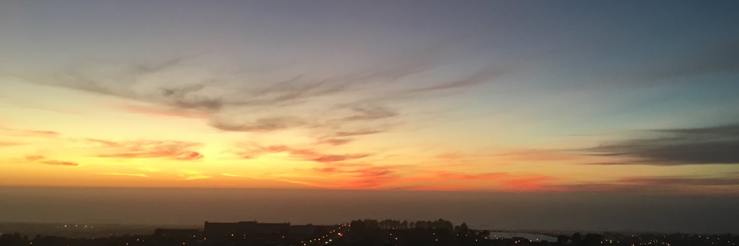 Toan Nguyen Le banner