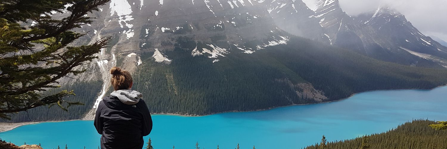 theallyo4's profile banner image