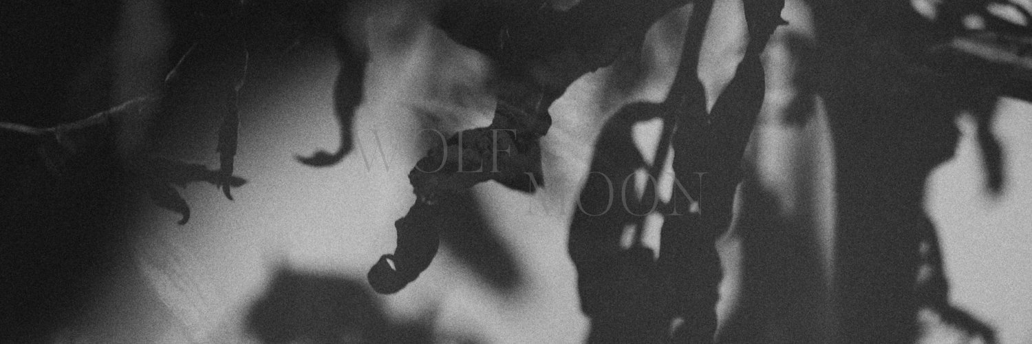 Krzysztof Sujata banner