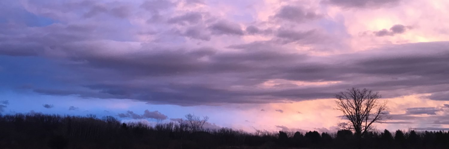 Alison Cherry banner