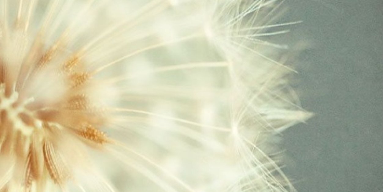 Laaauurrenn's profile banner image
