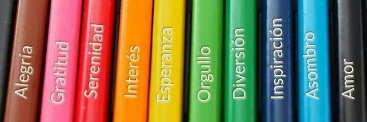 C_R2510's profile banner image