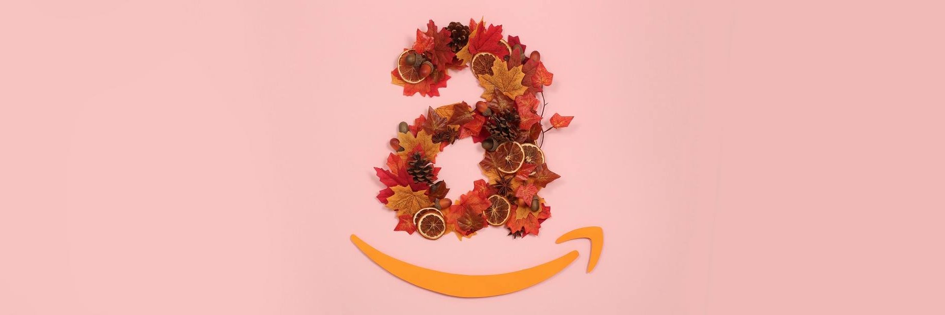 Amazon Careers Dub banner